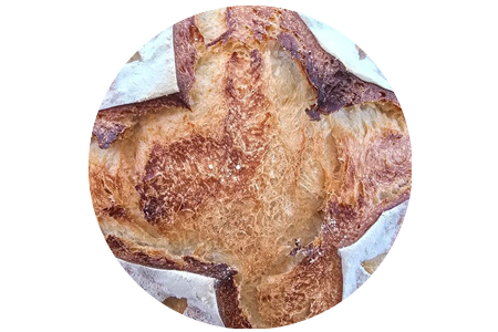 Kneadmore Dough sourdough bread